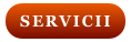 SERVICII